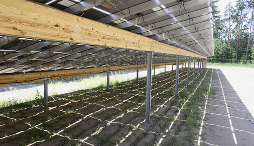 
Rückseite der Modulreihen in Groß Dölln: Belectric hat die Unterkonstruktion selbst entworfen, um thermische Spannungen aus dem System zu nehmen.
