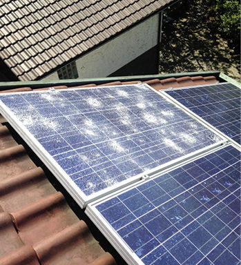 <p>
Trommelfeuer aus den Wolken: So fand Solarteur Dirk Mayer von der Firma SBWW aus Gäufeld in Baden-Württemberg die Solarmodule vor. Als er das Dach bestieg, war das Unwetter längst weitergezogen.
</p> - © Foto: SBWW

