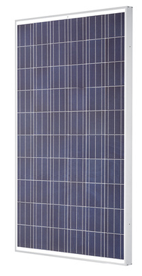 <p>
</p> - © Foto: IBC Solar