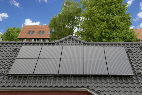 <p>
</p> - © Foto: DZW Nelskamp