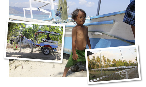 



Gili heißt auf Deutsch einfach Insel. Pferdestärken und Solarstrom gehören zu dem sauberen Versorgungskonzept, mit dem die Gilis vor Lombok punkten. 
