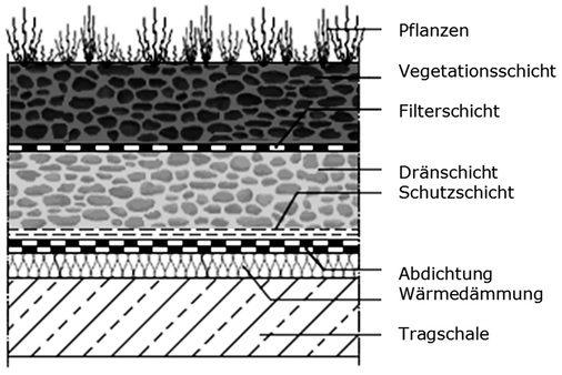 <p>
</p>

<p>
Beispiel für die Konstruktion eines begrünten Flachdaches. 
</p> - © Grafik: W. Schröder

