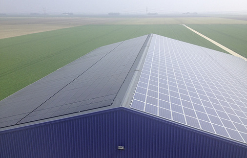 



In diesem Gebäude haben mehrere Tausend Puten ihr Zuhause. Der Geflügelbauer entschied sich auf der nach Nordwesten ausgerichteten Dachfläche für ammoniakresistente Dünnschichtmodule von Solar Frontier. 
