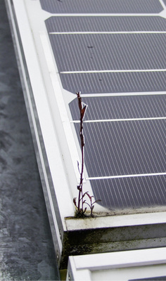 <p>
</p>

<p>
Bei gerahmten Modulen können sich in den Ecken Staub und Wasser sammeln – ein fruchtbares Biotop.
</p> - © Foto: B+B Solarreinigung

