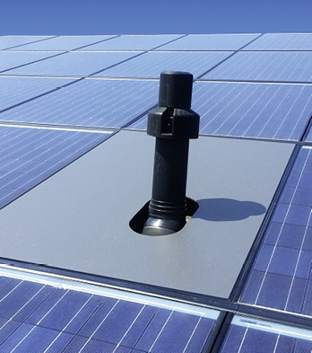 <p>
</p> - © Foto: SEN