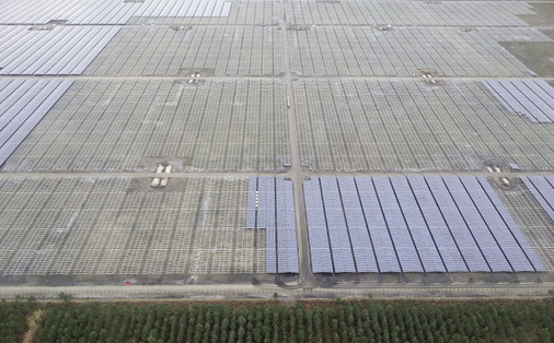 
Bei einem Solarpark dieser Größenordnung gilt ein strenger, genau abgestimmter Bauplan.

