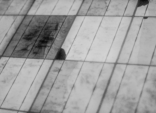 
In der Elektrolumineszenz sieht man sogar, aus welcher Richtung das Hagelkorn kam.
