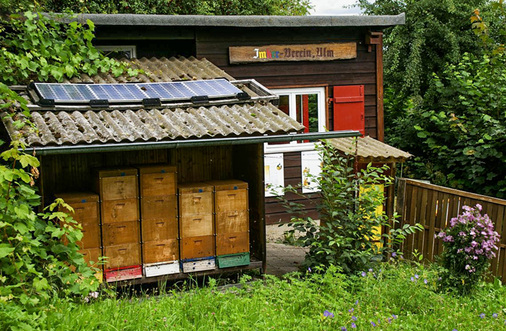 



Das Inselsystem des Imkervereins hat sich seit zwölf Jahren bewährt.

