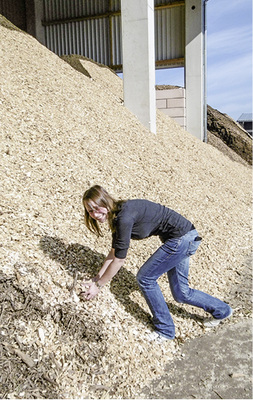 



Biomasse liefert die Grundlast, wenn die Sonne nicht scheint und der Wind nicht weht.
