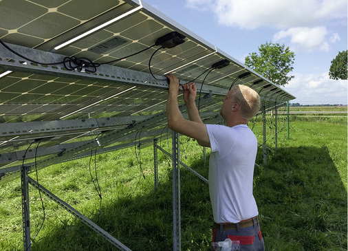 <p>
</p>

<p>
Die Module sind in doppelter Hinsicht ungewöhlich. Die monokristallinen Paneele kommen aus Prenzlau.
</p> - © Foto: IngenieurNetzwerk Energie/Dennis Schmitter

