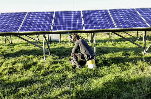 <p>
</p>

<p>
Das Tropenholz Bongossi hielt nicht nur Sonne, sondern auch Regen, Wind und Salzwasser stand.
</p> - © Foto: Max Solar

