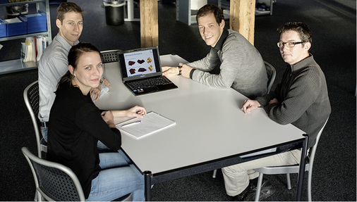 
Viele Experten haben an der Umsetzung des Katasters mitgewirkt. Hier eine Projektsitzung mit Mitarbeitern von BFE, Meteotest und Swisstopo.



