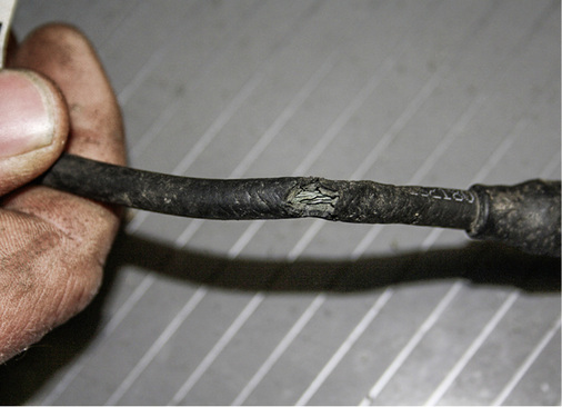 



Schäden durch Marderbiss am Kabel: Solche Gefahrstellen werden häufig übersehen.
