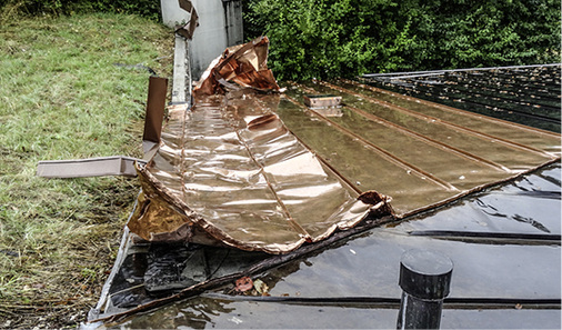 
Hier wurden die Diebe offensichtlich gestört und haben ihre Beute zurückgelassen.
