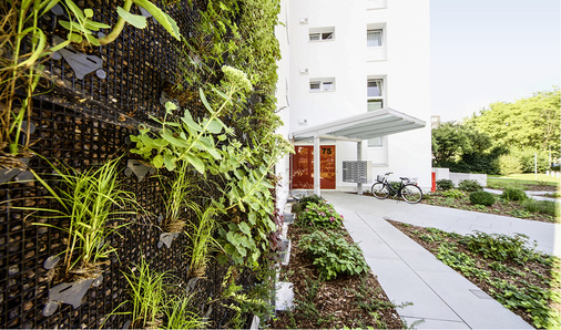 



Die Nordfassade wurde begrünt und so in das Energiekonzept aktiv mit einbezogen – wenn auch ohne Module.
