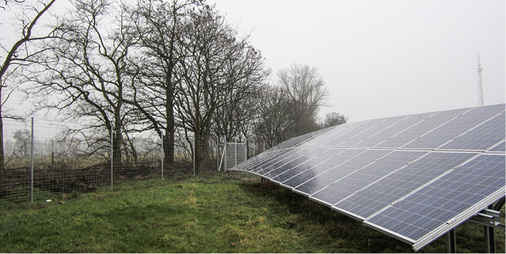 
Die Baumreihe verschattet die Anlage, was im Ertragsgutachten nicht beachtet wurde.
