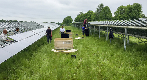 



Solarpark Aichach bei Augsburg mit installierten4,2 Megawatt Leistung: Die Dünnschichtmodule wiesen bei Stringmessungen einen enormen Ertragsverlust auf.
