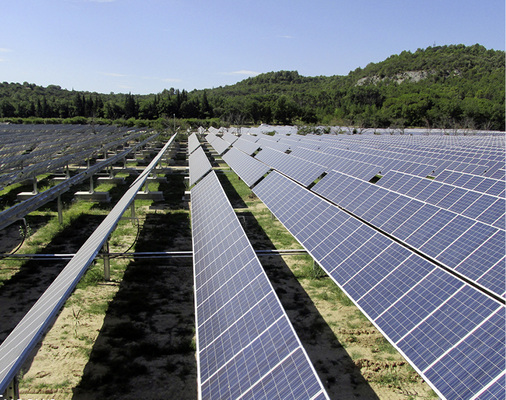 



Reinigung und Rasenmähen gehen einfacher, wenn die Antriebswellen zwischen den Reihen nicht stören.
