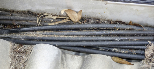 
Erdreichverlegung auf dem Dach – dank eines Sammelbeckens für organische Feststoffe. Die Kabel in dauerhaft feuchter Umgebung moosen ein.
