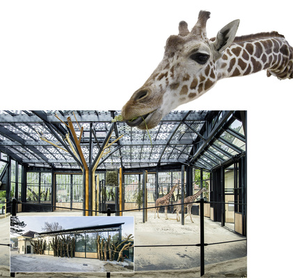 



Nun leben sie in Wien unter einer 237 Quadratmeter großen BIPV-Photovoltaikanlage der Firma Ertex Solar.
