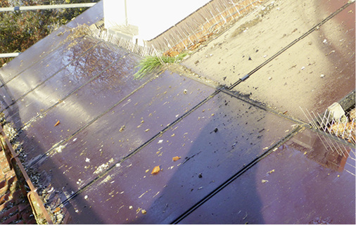 



Bewohnte Anlagen weisen starke Verschmutzungen auf.
