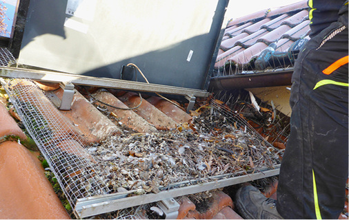 <p>
</p>

<p>
Unter den Modulen findet sich dann die ganze Hinterlassenschaft der Vögel.
</p> - © Foto: www.solarreinigung.com

