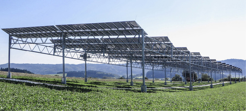 



Labor an der frischen Luft: Die Agrophotovoltaikanlage mit einer Leistung von 194 Kilowatt erstreckt sich über ein drittel Hektar.
