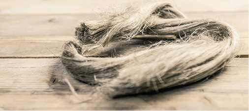 <p>
</p>
<p>
Die alte Kulturpflanze gewinnt nicht nur Öl, sondern hilft Benzin einzusparen.
</p> - © Foto: Howdo Creative Direction
 
Die alte Kulturpflanze gewinnt nicht nur Öl, sondern hilft Benzin einzusparen.