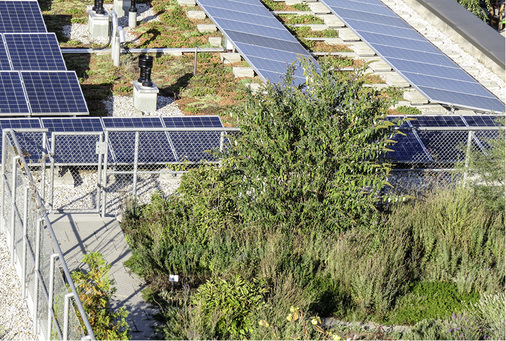 
Bei diesem Projekt der Wogeno in München wurde die Solaranlage auf extensiver Begrünung errichtet.



