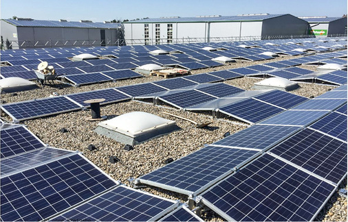 



Diese Anlage wird durch die Oberlichter stark zerstückelt.
