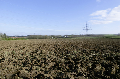



Gute Bedingungen: Ein freier Blick in Hauptwindrichtung bedeutet eine freie Anströmung der Kleinwindturbine.
