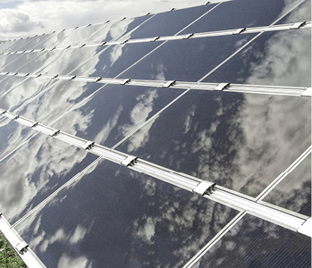 



Die Dünnschichtmodule im Freilandpark.
