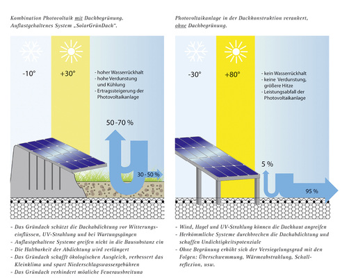 <p>
Systemvergleich mit Gründach (links) und ohne Begrünung (rechts).
</p>

<p>
</p> - © Grafik: Optigrün International AG

