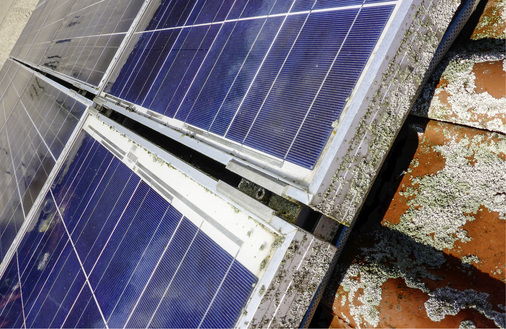 <p>
</p>

<p>
Bei Anlagen mit Flechtenbewuchs müssen vor allem die Rahmenschlitze gründlich gereinigt werden.
</p> - © Foto: solarrreinigung.com

