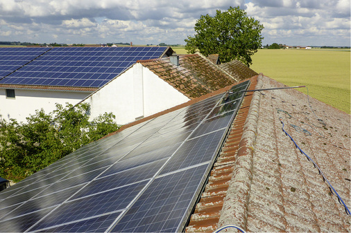 



Mehrfaches Einweichen löst die Pflanzen. Ob auch die feinen Wurzeln aus den Rahmenschlitzen herausgelöst werden, hängt vom Geschick des Reinigers ab.
