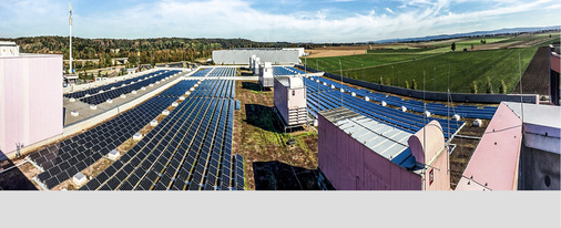 <p>
</p> - © Foto: IBC Solar