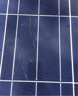 



Schneckenspuren weisen auf Mikrorisse im Modul hin.
