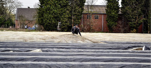 



Nachdem der Spargel gestochen wurde, muss das Erntegut eingelagert und gekühlt werden.
