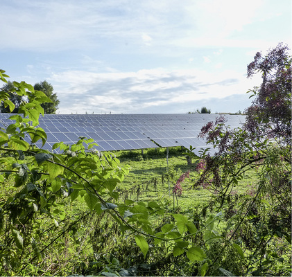 



Beim Solarfeld Oberdorf bieten Aufschüttungen, Trockenmauern, Nistkästen und Insektenhotels sowie große Ausgleichsflächen mit Streuobstwiesen und Sträuchern vielen Pflanzen- und Tierarten neuen Lebensraum.
