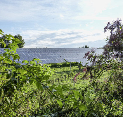 <p>
</p>

<p>
Beim Solarfeld Oberdorf bieten Aufschüttungen, Trockenmauern, Nistkästen und Insektenhotels sowie große Ausgleichsflächen mit Streuobstwiesen und Sträuchern vielen Pflanzen- und Tierarten neuen Lebensraum.
</p> - © Foto: Erzeugergemeinschaft für Energie in Bayern

