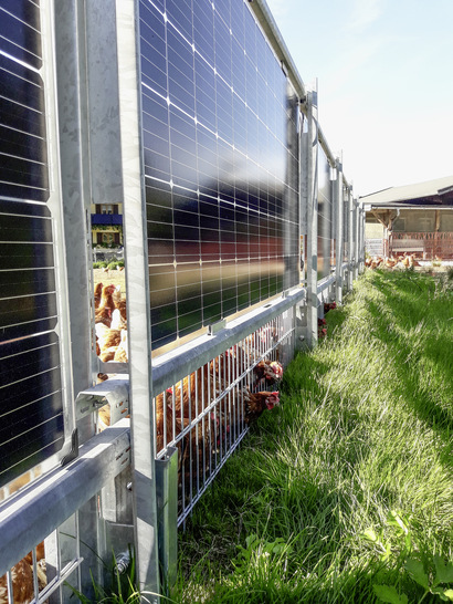 In St. Martin hat Elektrotechnik Leitinger den ersten solaren Weidezaun gebaut. Die Hühner freuen sich seither auch über mehr schattige Plätzchen an heißen Sommertagen. - © Foto: Elektrotechnik Leitinger

