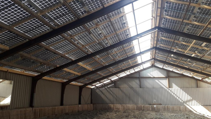 Durch die semitransparenten Module als Dacheindeckung gelangt ausreichend Tageslicht in die Reithalle.