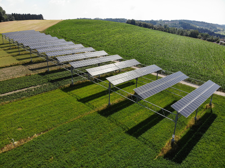 Für den Bau von Solarparks auf Ackerflächen gibt es jede Menge Hürden. So lassen nur einige Bundesländer zu, dass solche Projekte an den Ausschreibungen teilnehmen. - © Foto: IBC Solar
