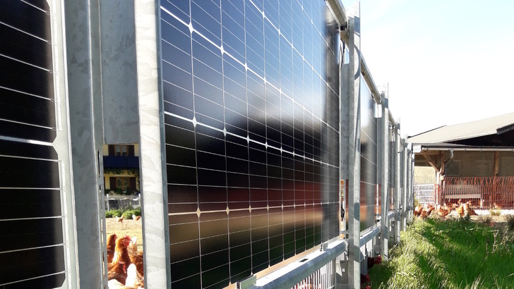 In St. Martin hat Elektrotechnik Leitinger den ersten solaren Weidezaun gebaut. Die Hühner freuen sich seither auch über mehr schattige Plätzchen an heißen Sommertagen.