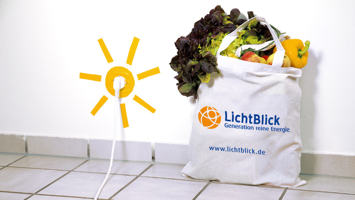 Die Bundesregierung soll die Chance nutzen und mit einem Konjunkturprogramm ökologisches Wirtschaften unterstützen.