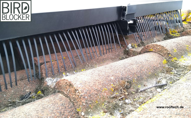 Das neue Modell verfügt über 20 Zentimeter lange Nadeln.