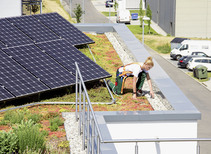 Zwei auf einen Streich: Das Schienensystem Fallnet Rail zur Absturzsicherung ist ebenfalls auf den Solarbasisplatten verankert. - © Foto: Zinco
