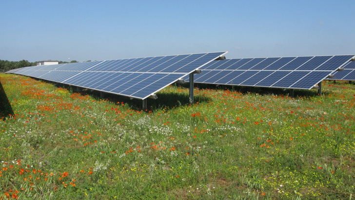 Solche Anlagen sollen nach dem Willen der burgenländischen Regierung nur auf landeseigenen oder vom Land gepachteten Flächen möglich sein. - © Kioto Solar
