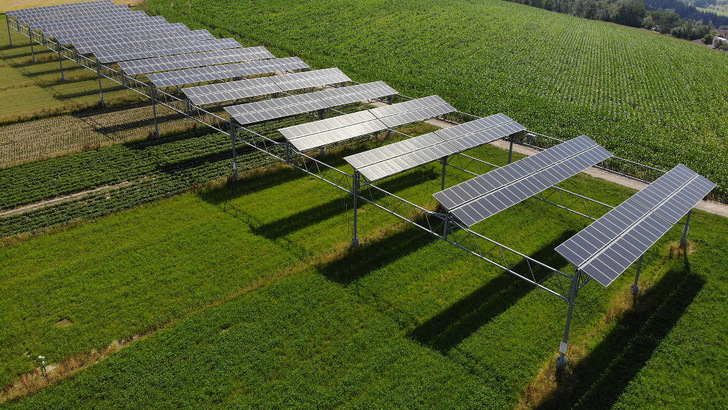 Längst ist die Agriphotovoltaik aus dem Versuchsstadium heraus, wie hier in Heggelbach am Bodensee. Die Anlagen brauchen aber aufgrund des höheren Aufwands derzeit noch mehr Unterstützung als herkömmliche Solarparks. - © Fraunhofer ISE
