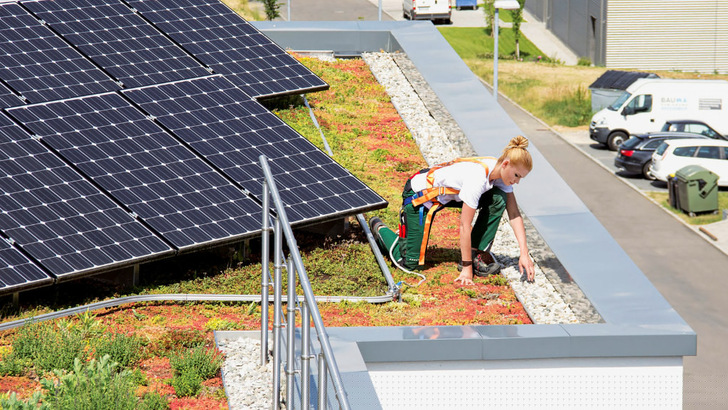 Zwei auf einen Streich: Das Schienensystem Fallnet Rail zur Absturzsicherung ist ebenfalls auf den Solarbasisplatten verankert. - © Zinco
